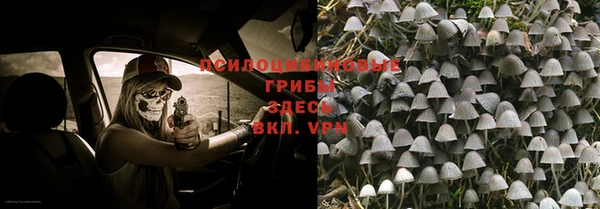 прущие крисы Алексеевка